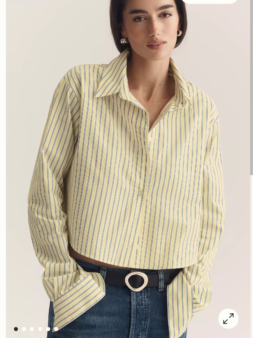 Maeve Cropped Long-Sleeve Buttondown Shirt in the Yellow Stripe
